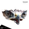Flying Eagle(Hardstyle Mix)