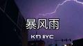 暴风雨REMIX专辑