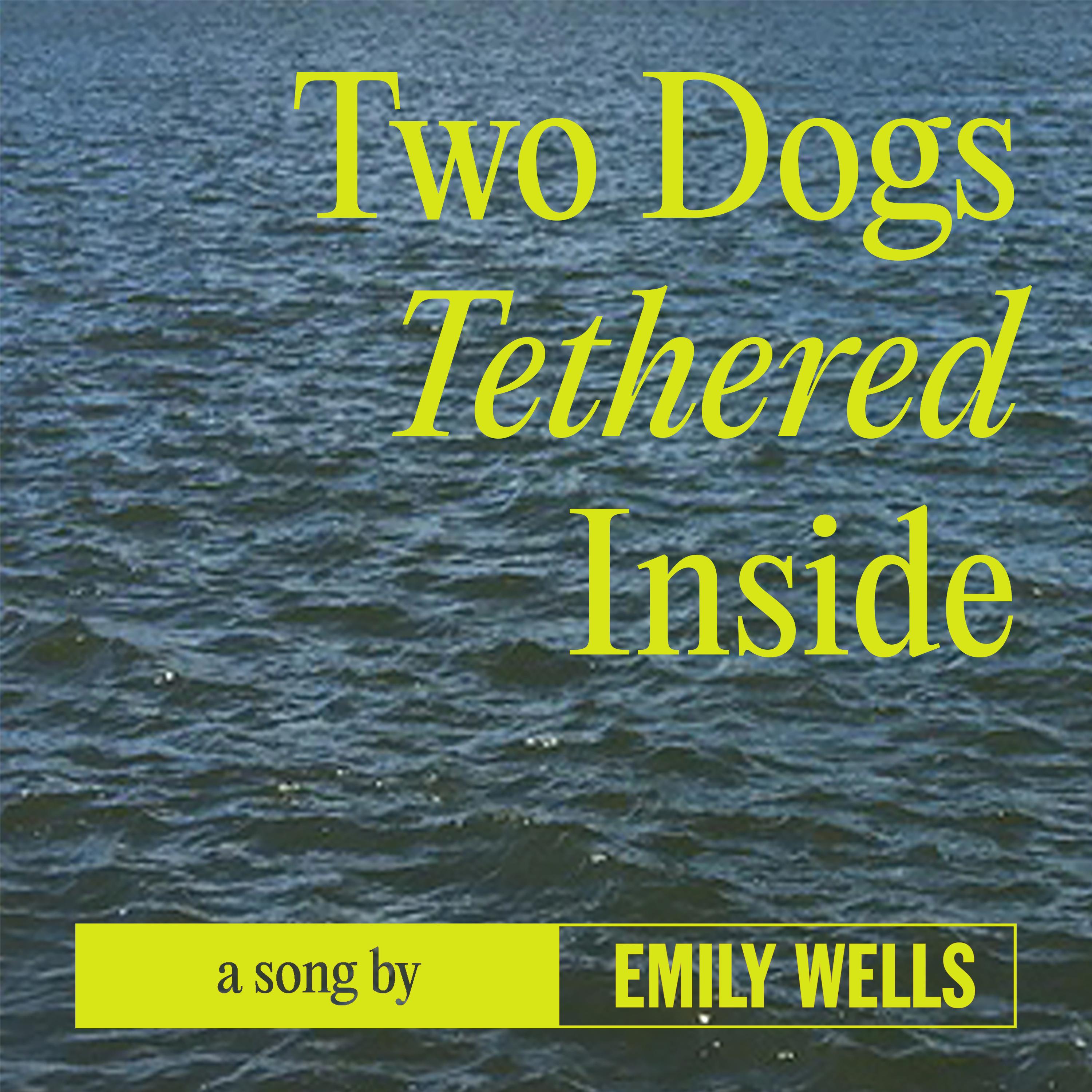 Two Dogs Tethered Inside