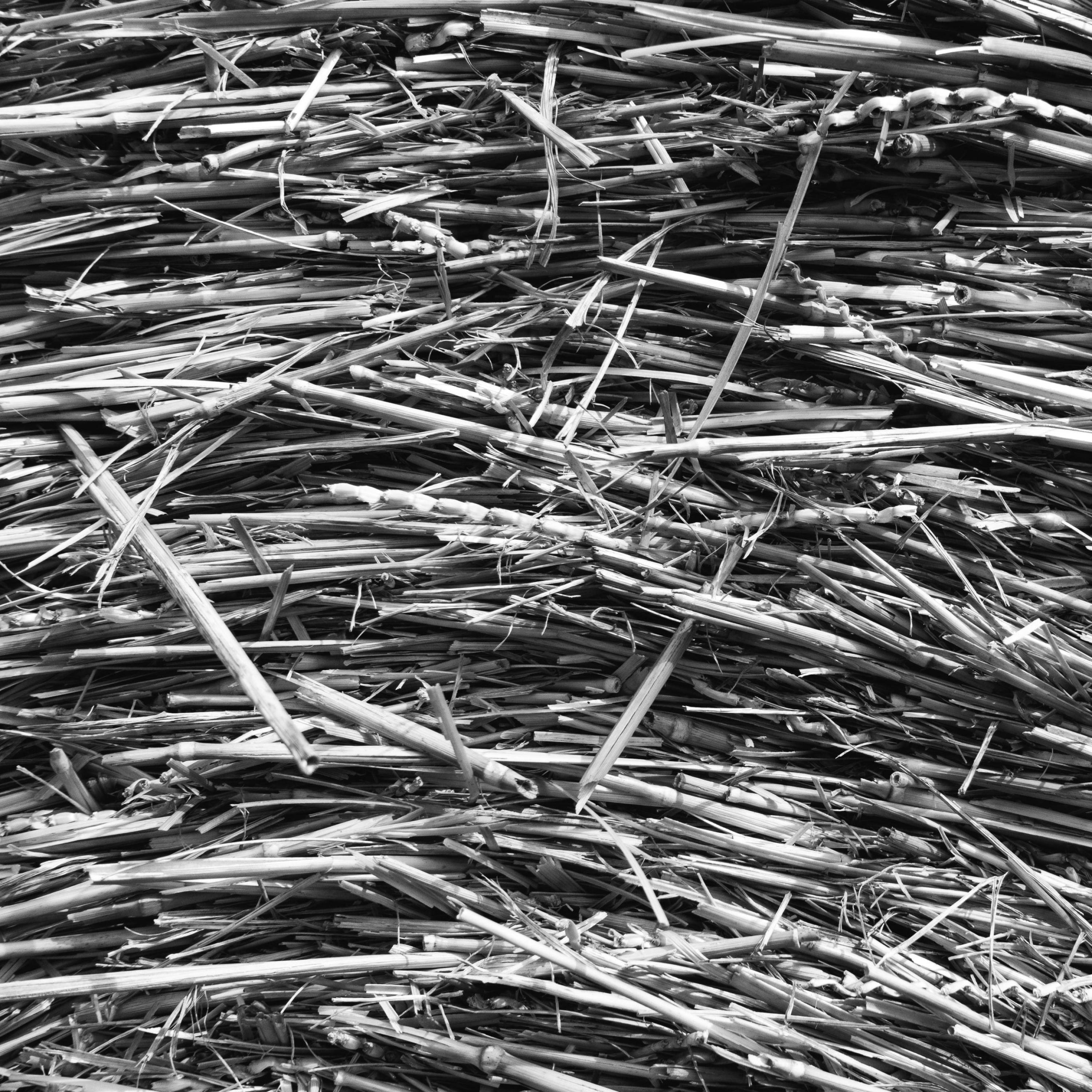 Last Straw