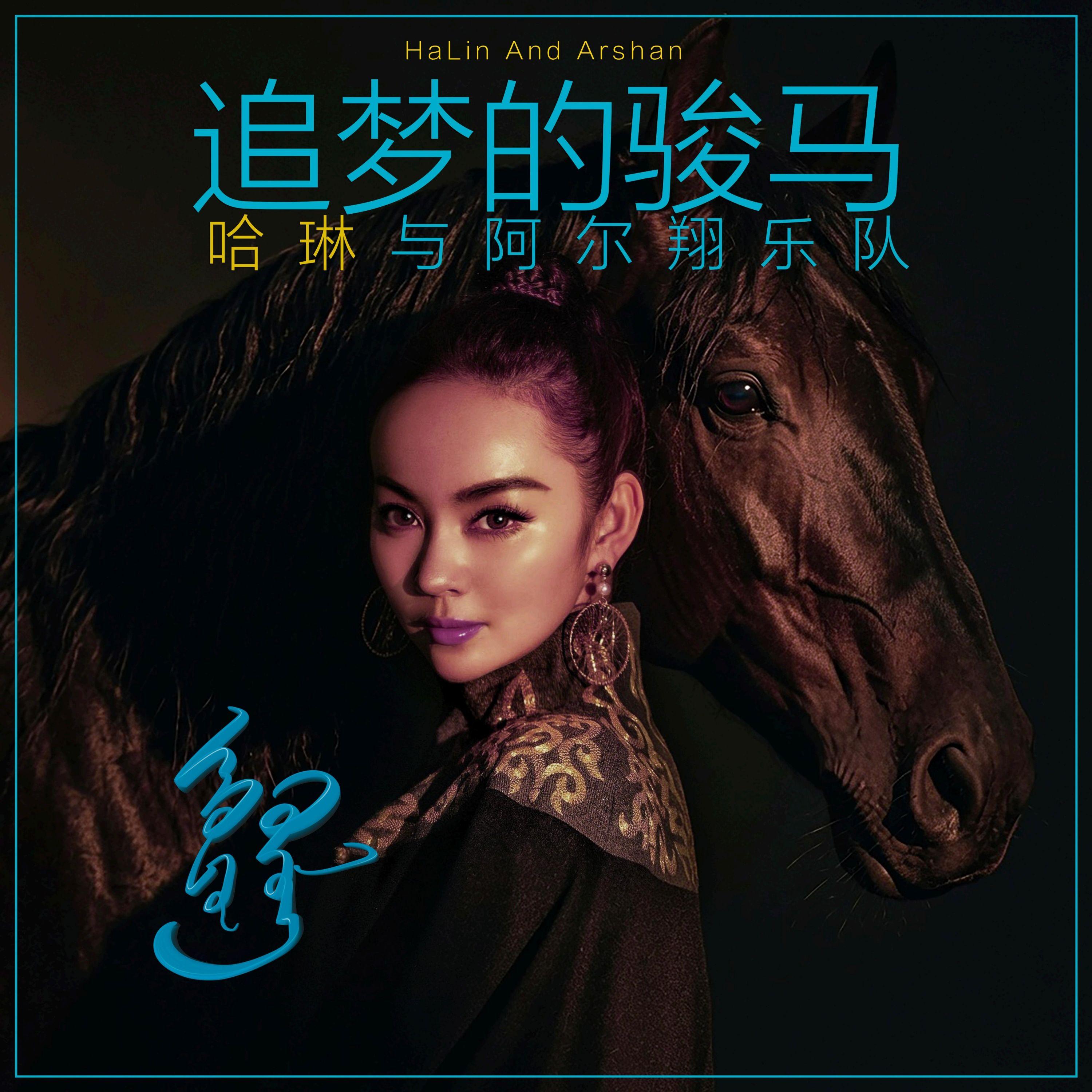 追梦的骏马