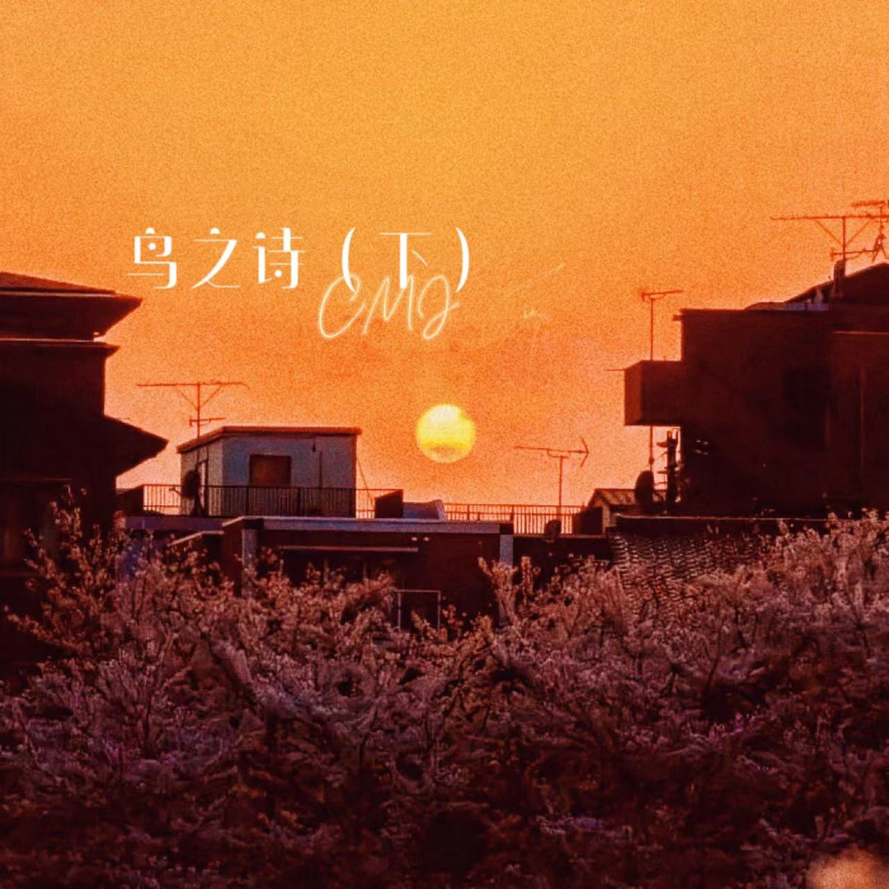 鸟之诗（下）