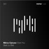 Mirco Caruso - Want You (Original Mix)