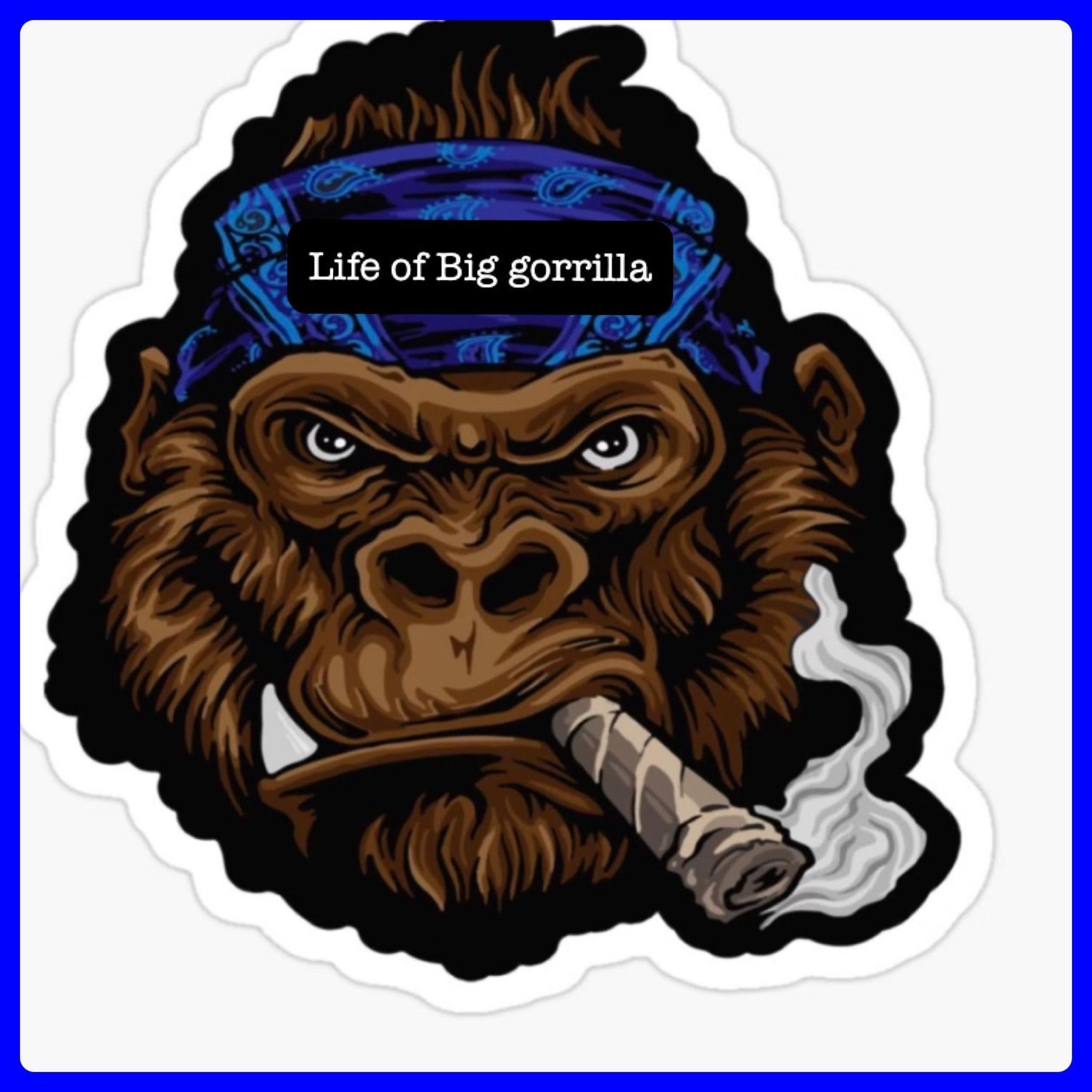 Life Of A Big Gorrilla