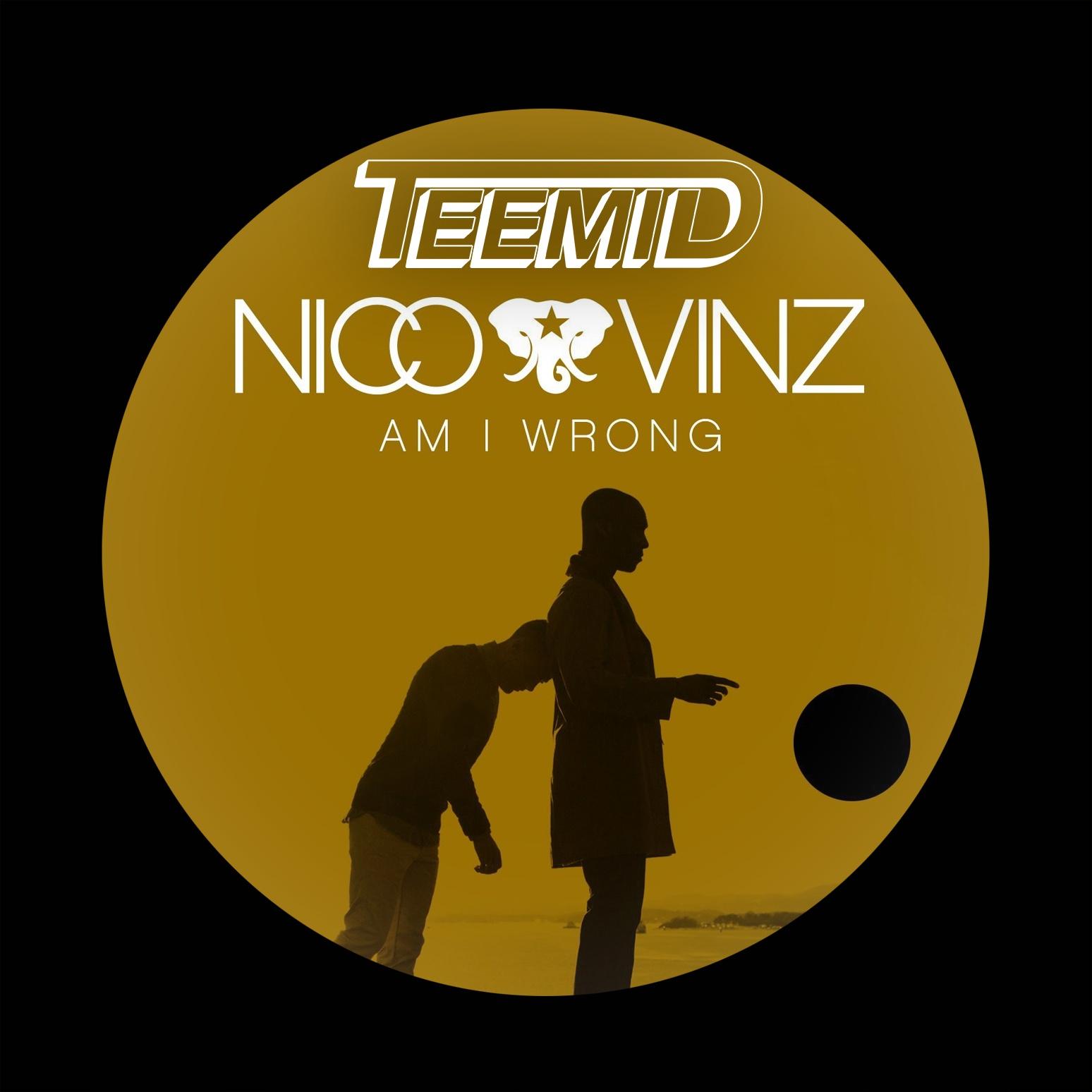 Am I Wrong (TEEMID Bootleg)