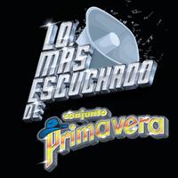 Ave Cautiva - Conjunto Primavera (SC karaoke) 带和声伴奏