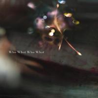 凛として时雨-Who What Who What  立体声伴奏