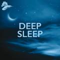 Deep Sleep