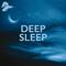 Deep Sleep专辑