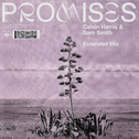 Promises (Extended Mix)专辑