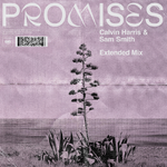 Promises (Extended Mix)专辑