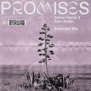 Promises (Extended Mix)