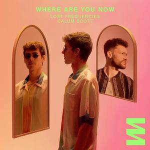 Lost Frequencies、Calum Scott - Where Are You Now