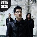 Bite Size Placebo专辑