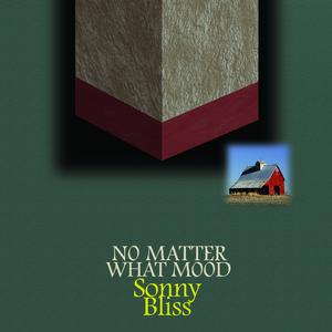No Matter What (Single Version) - Meat Loaf (Karaoke Version) 带和声伴奏 （升2半音）