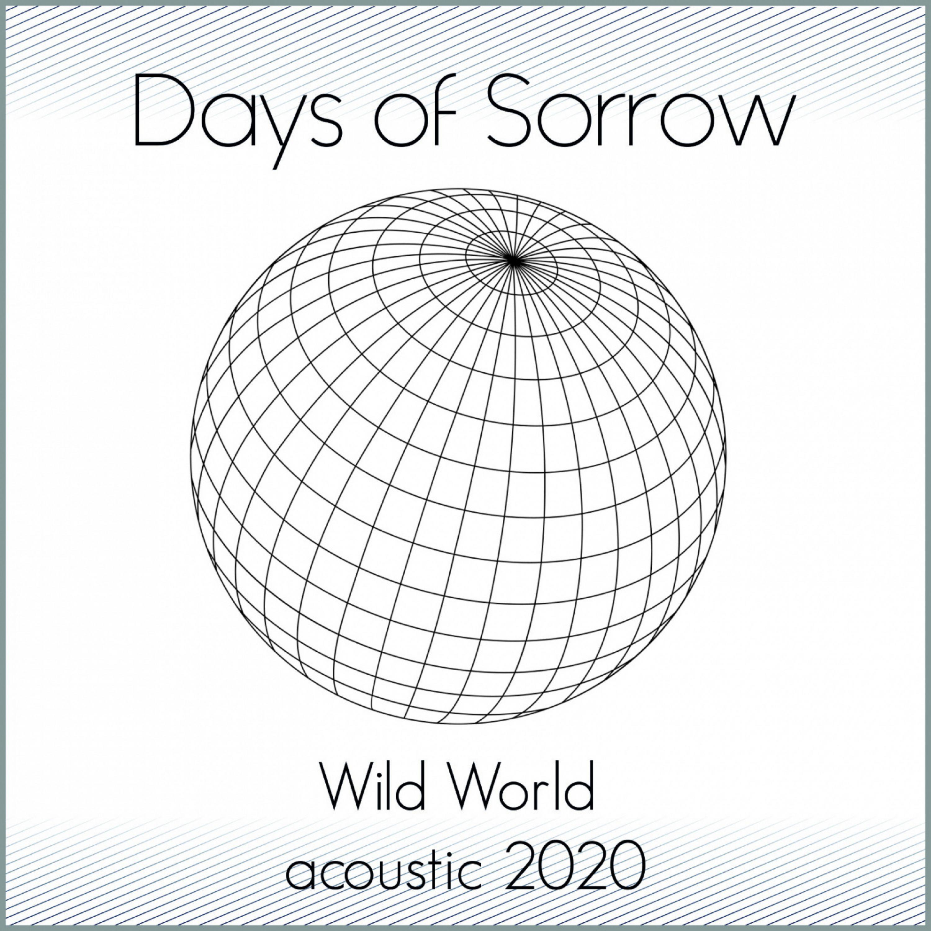 Wild World Acoustic 2020 (Acoustic Version)