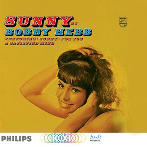 Sunny - Bobby Hebb (PT Instrumental) 无和声伴奏 （升5半音）