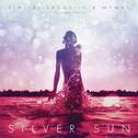 Silver Sun (Lights Anthem 2013)专辑