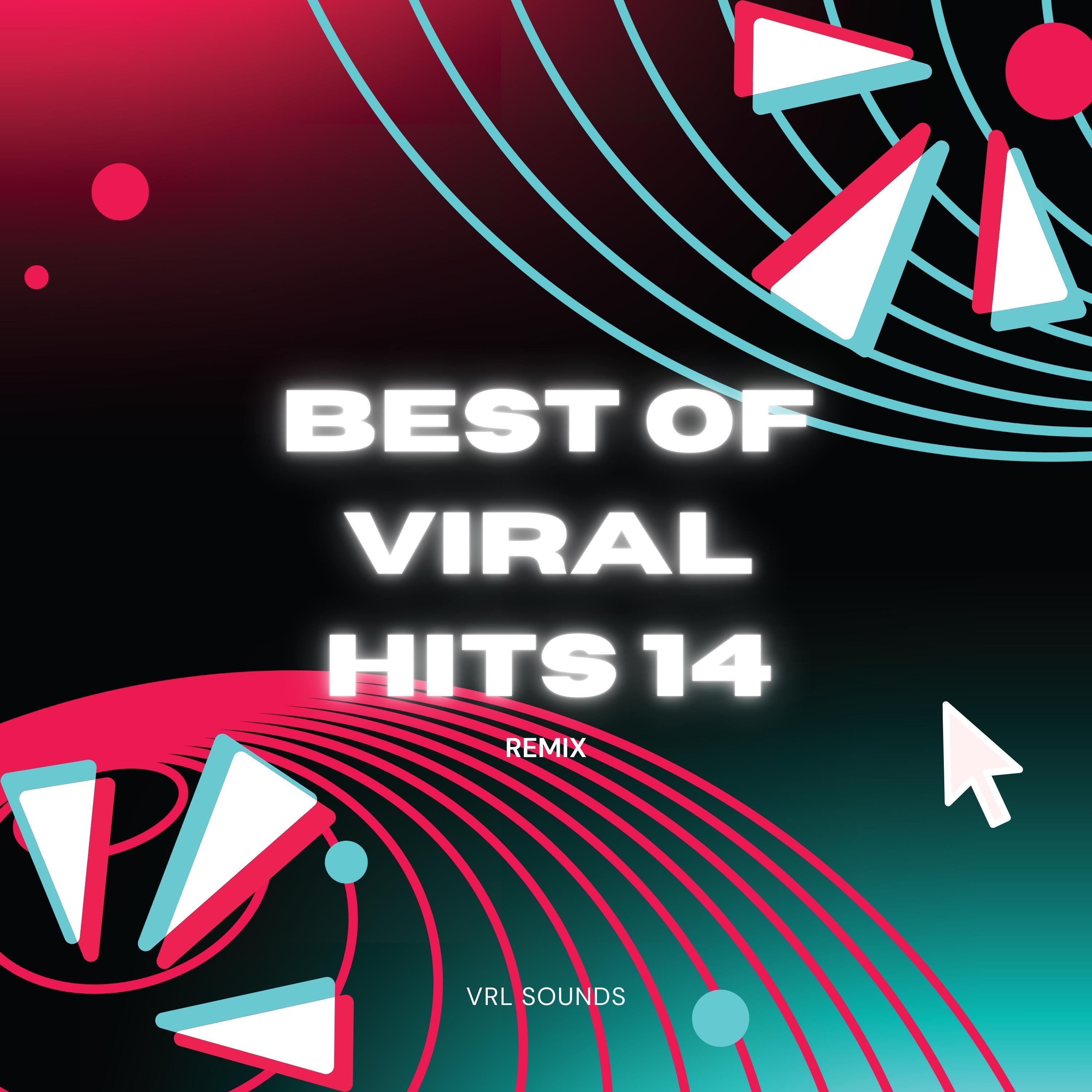 Best Of Viral Hits 14 (Remix)