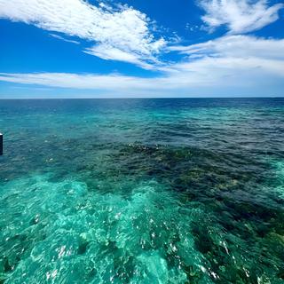 夏日海浪潮汐 | R&B的液态黄昏诗