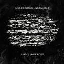 UNDERDOG 下狗