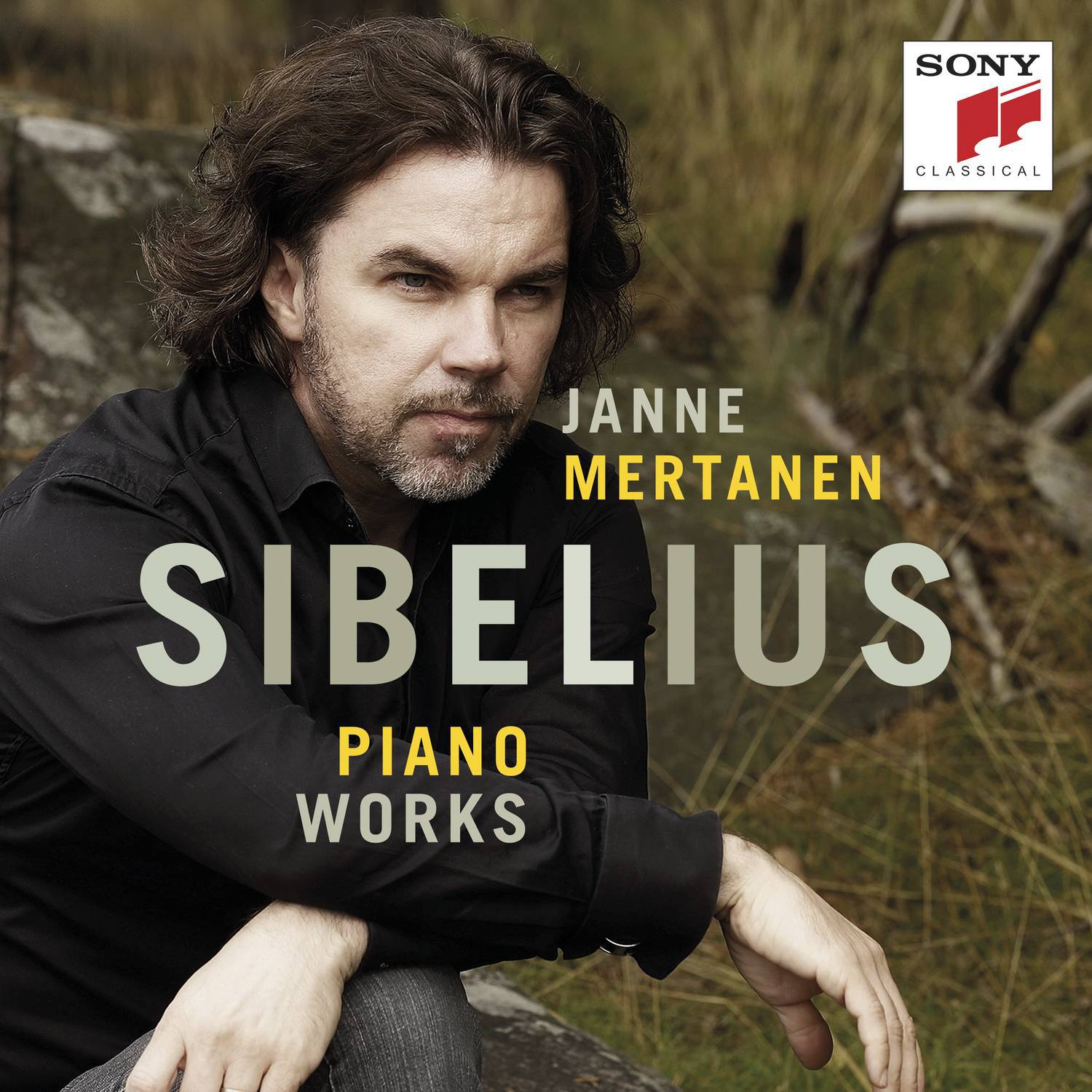 Sibelius Piano Works专辑