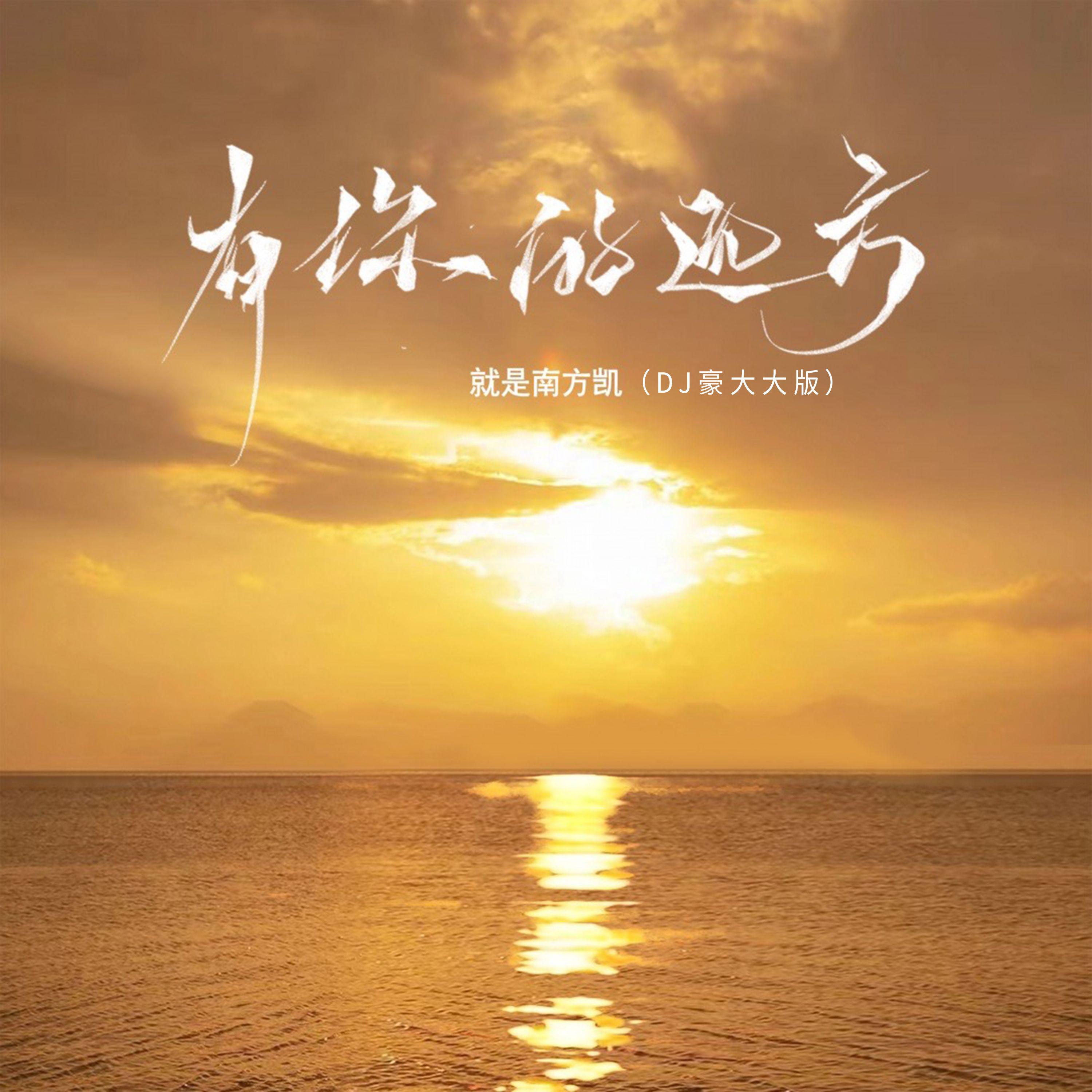 有你的远方（DJ豪大大版）