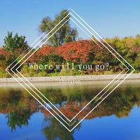 Where Will You Go - Evanescence ( Instrumental )