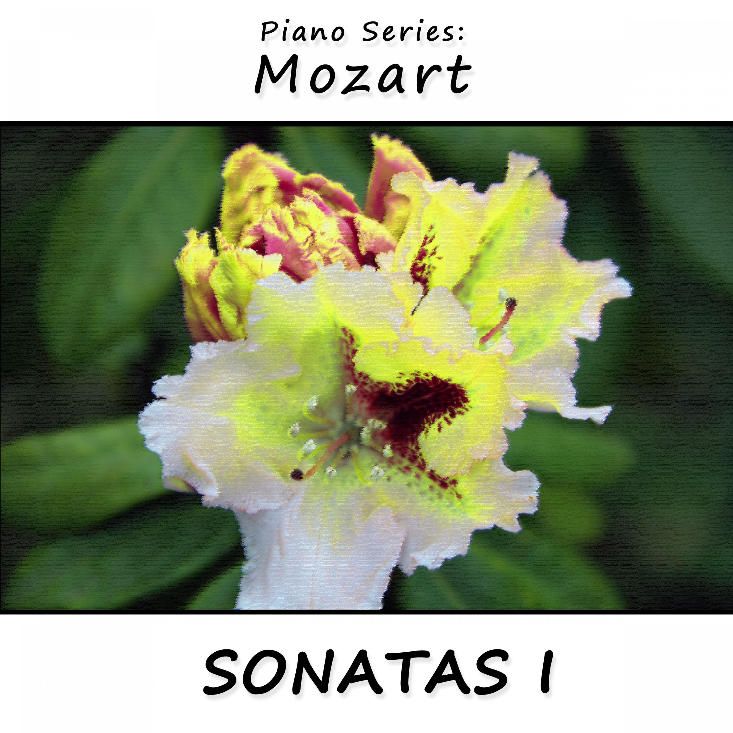 Piano Series: Mozart (Sonatas 1)