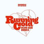 Running Cold (Roni Size Remix)专辑