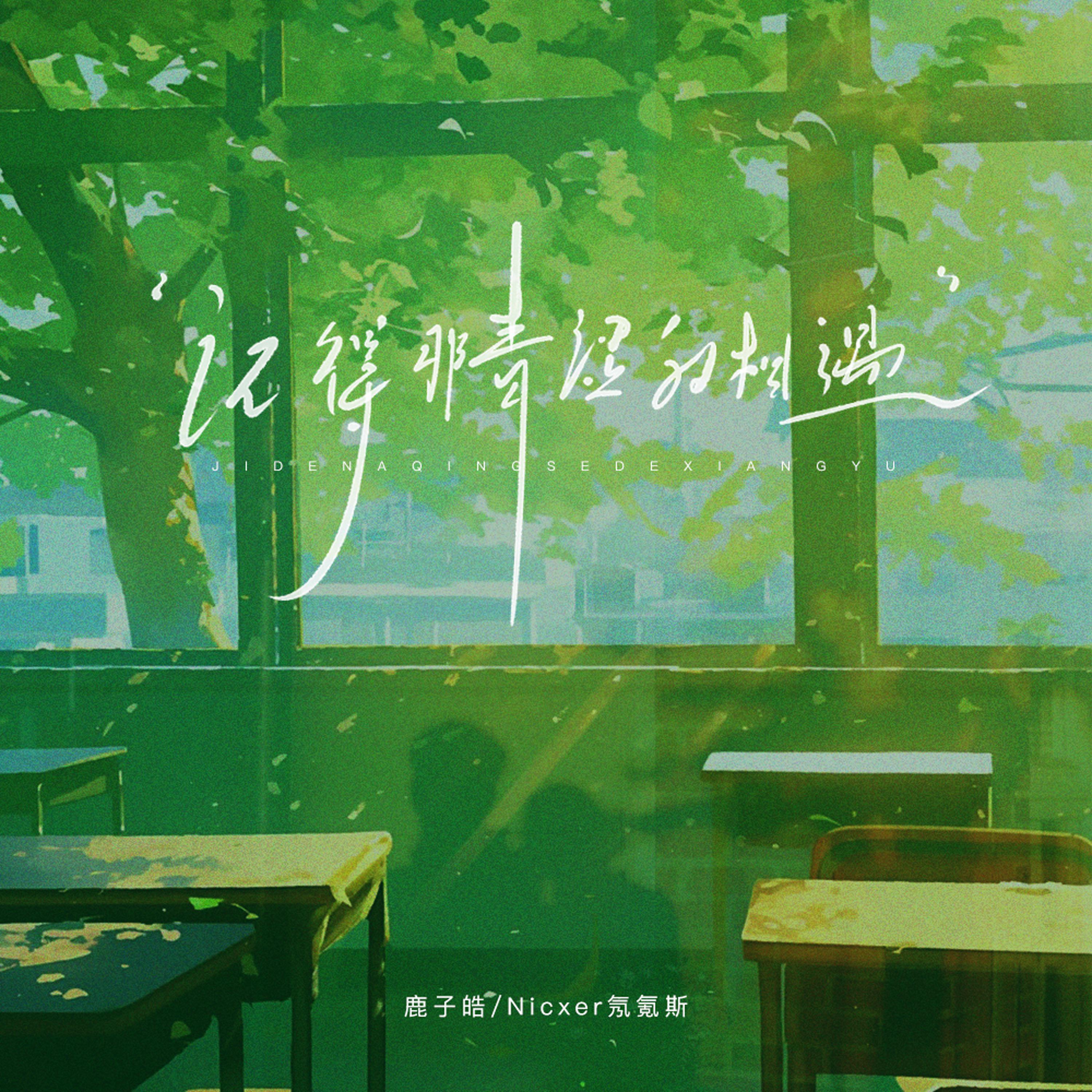 记得那青涩的相遇（完整版）专辑