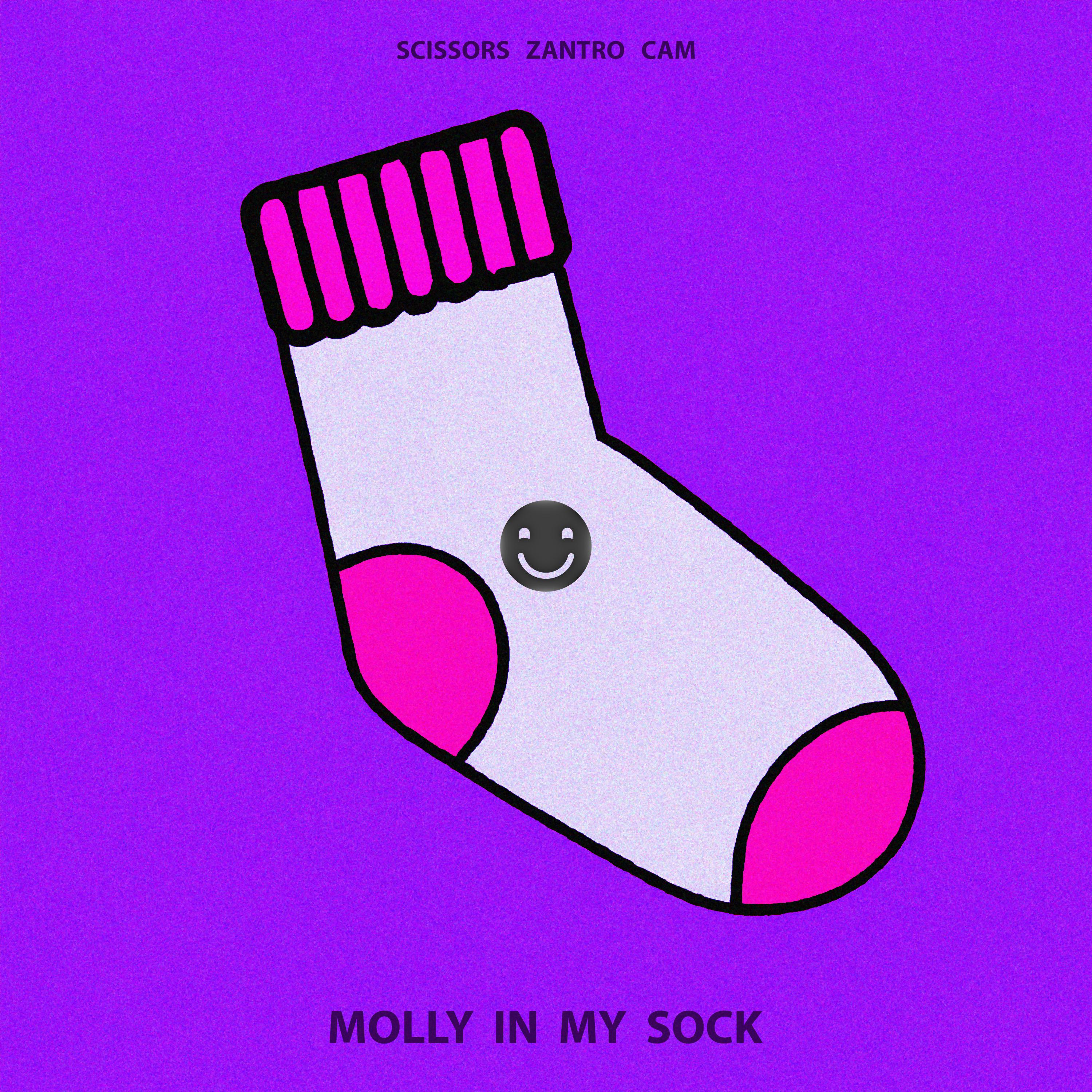 Scissors - Molly In My Sock (Extended Mix)