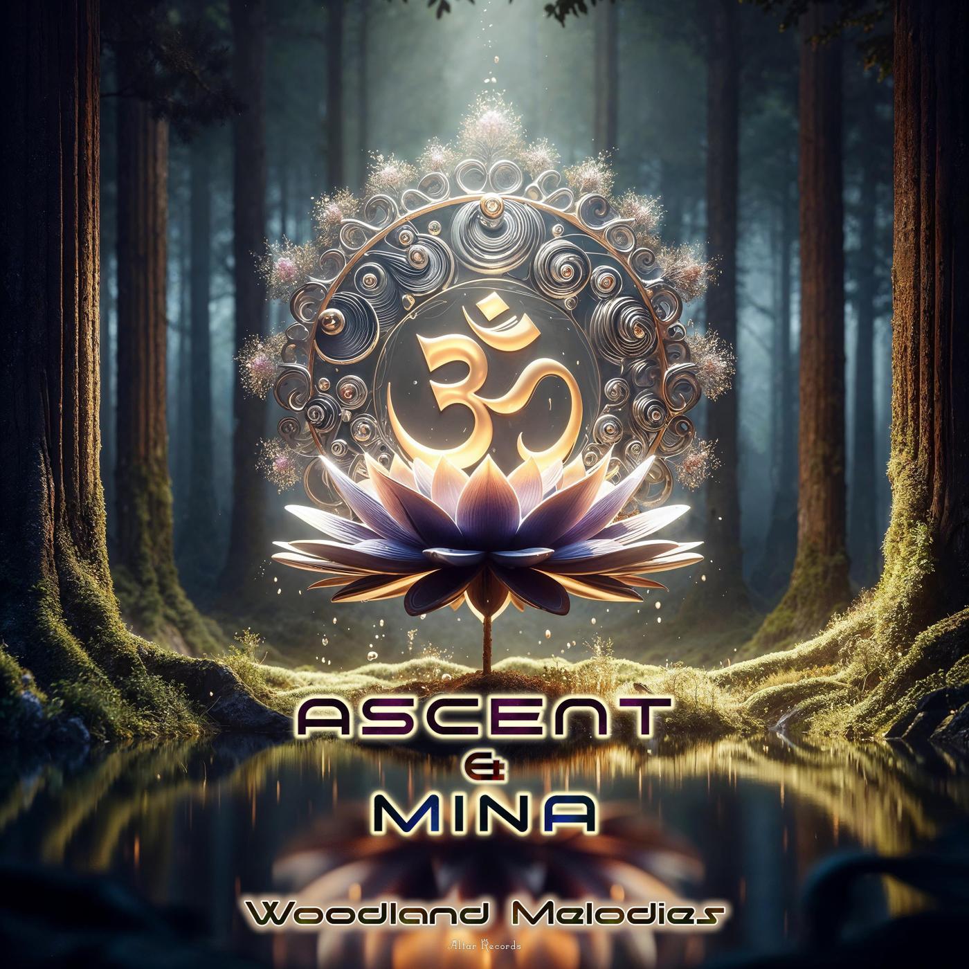 Ascent - Enchanted Forest