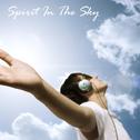 Spirit In The Sky专辑
