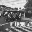 FALLEN DOWN