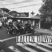 FALLEN DOWN