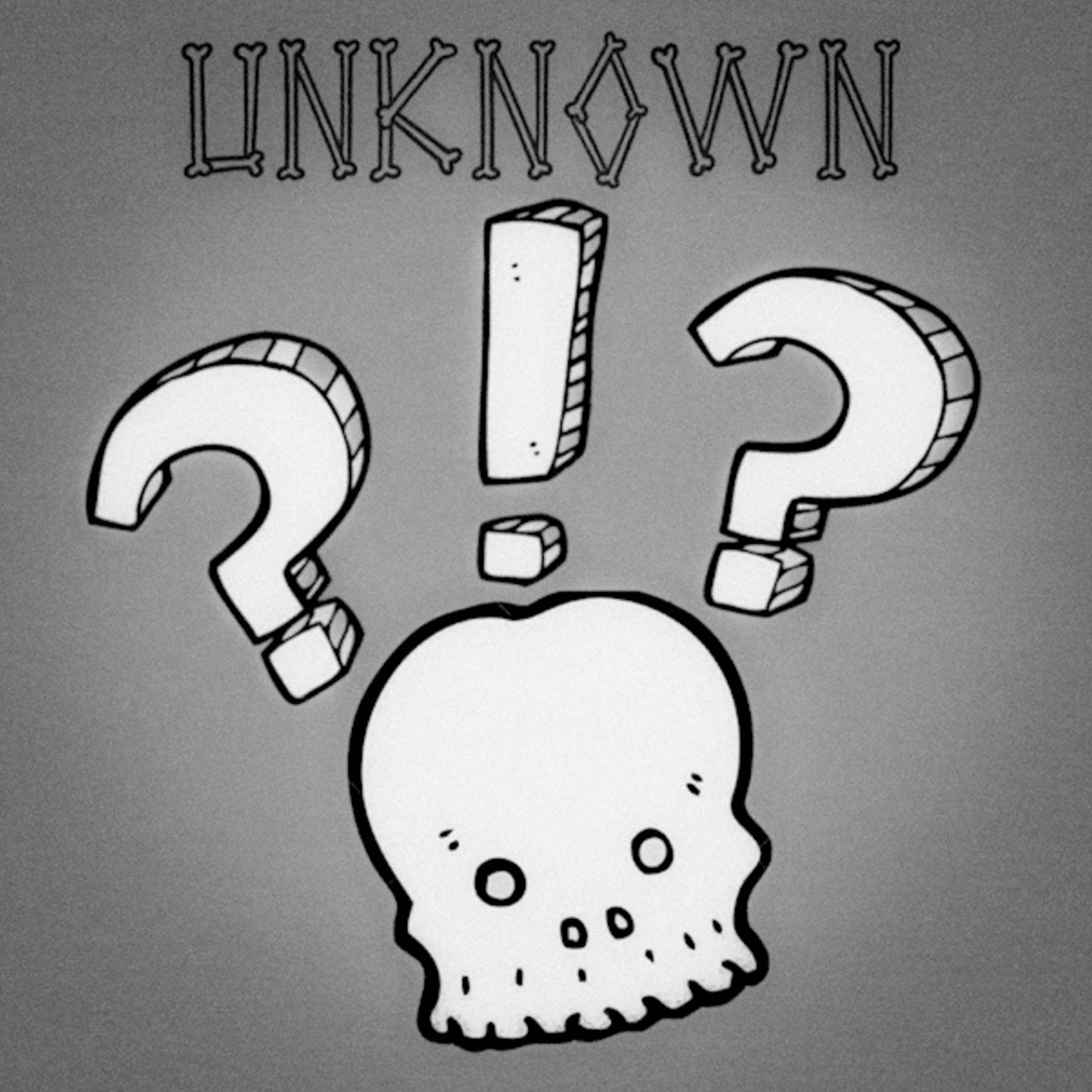 Unknown (Slowed + Reverb)