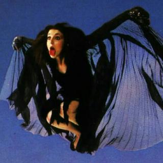 Kate Bush UK Charts