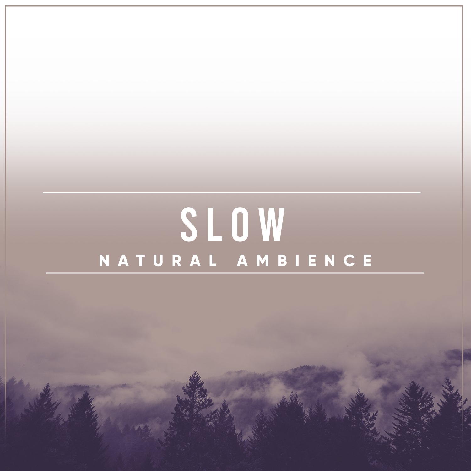 #Slow Natural Ambience