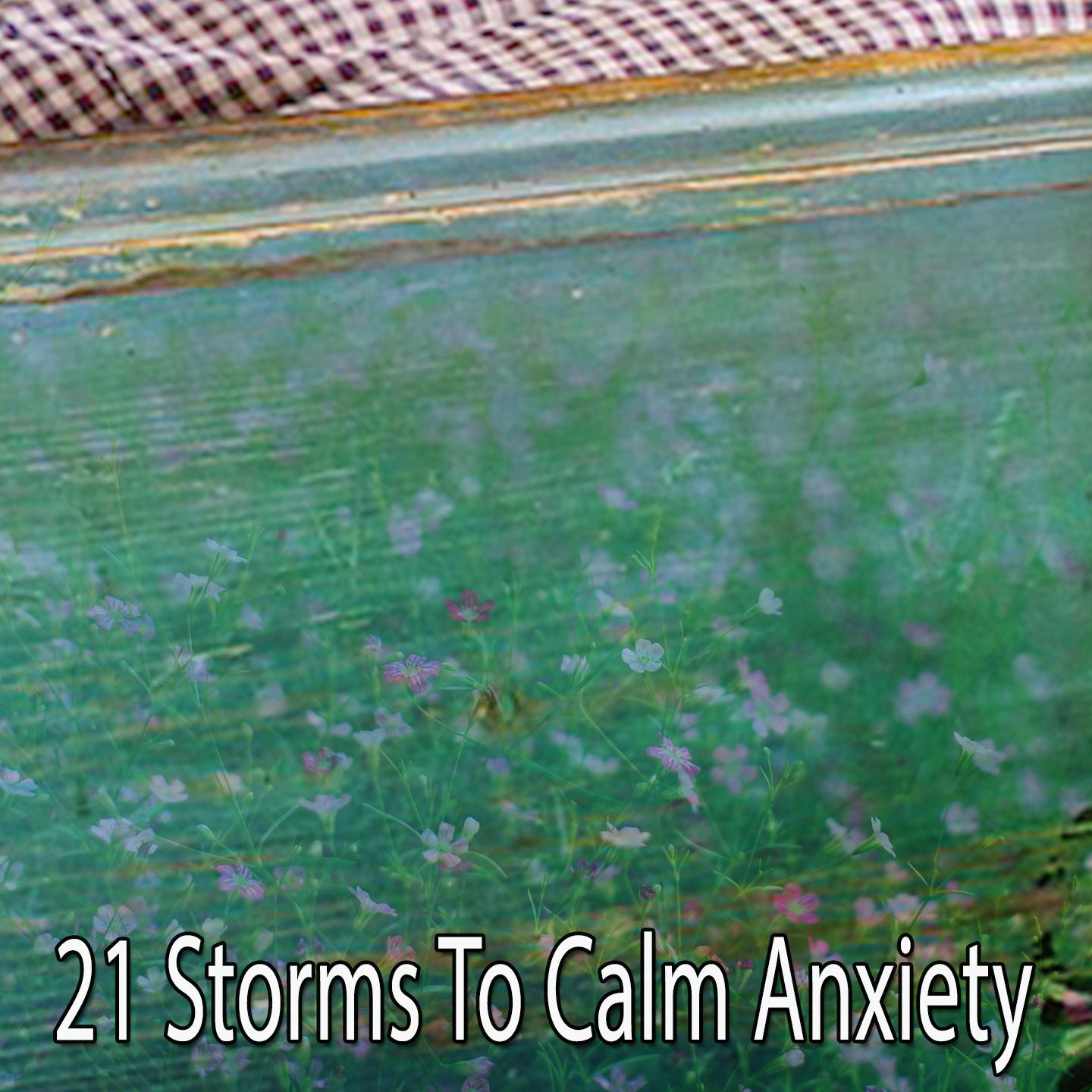 21 Storms To Calm Anxiety专辑