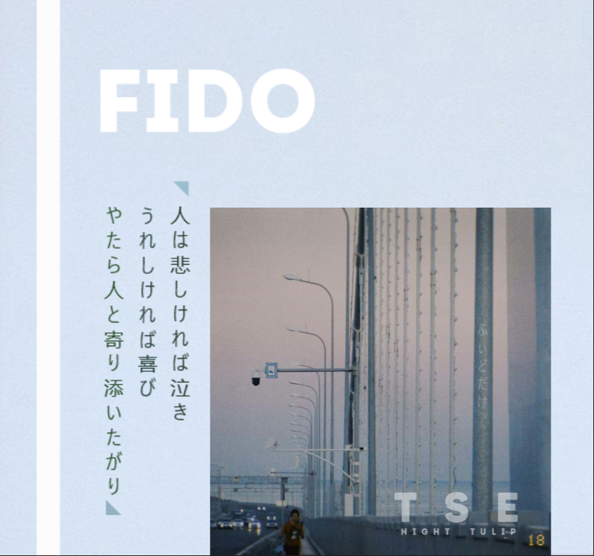 FIDO专辑