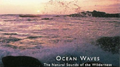 Echoes of Nature: Ocean Waves专辑