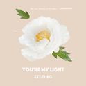 You're My Light专辑