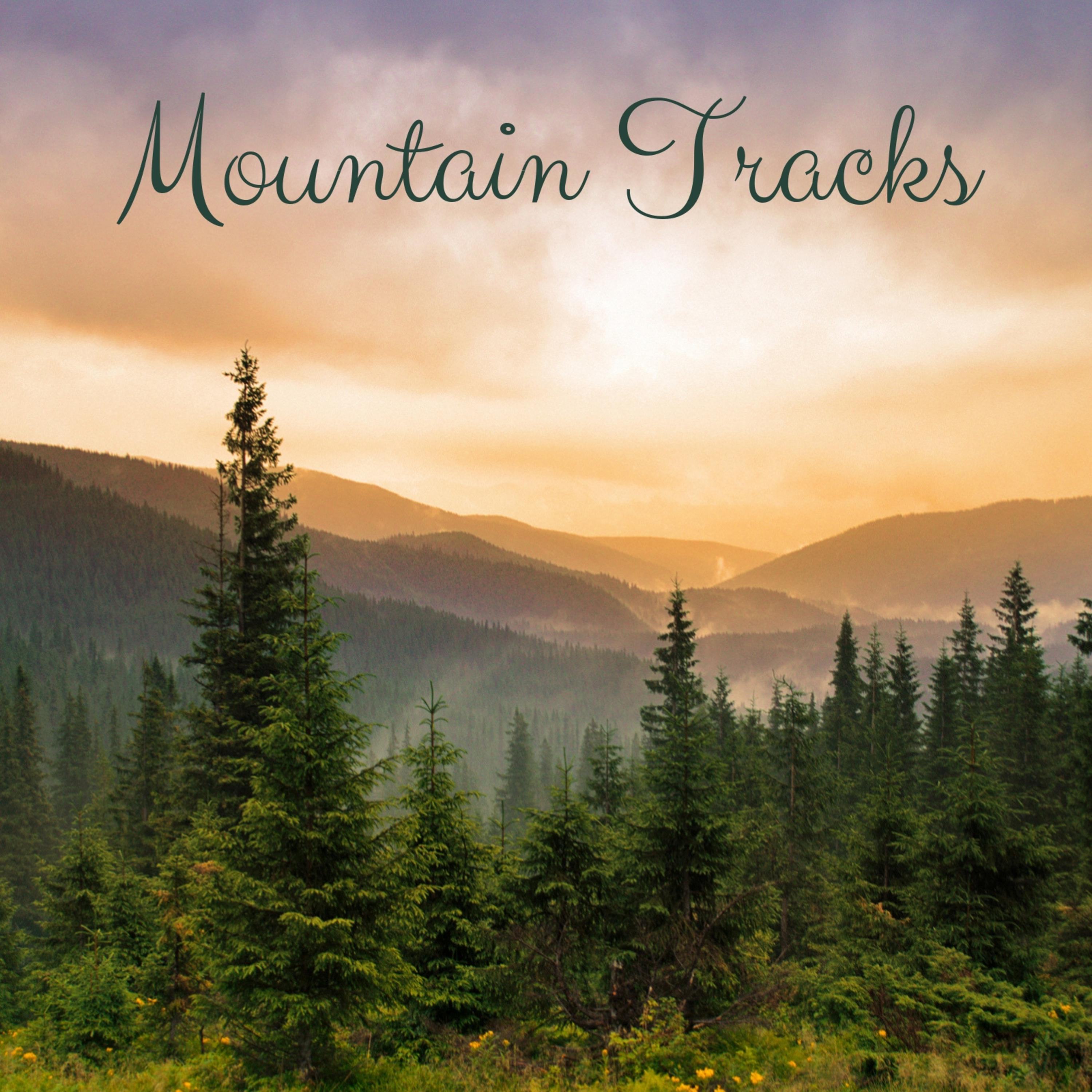 Mountain Tracks专辑