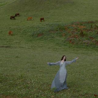 纯粹纯音｜美学寂静的悠远旋律