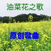 油菜花之歌（陆迪伴奏）