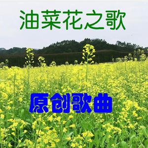 油菜花之歌【陆迪伴奏】