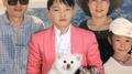 The Pink Album专辑
