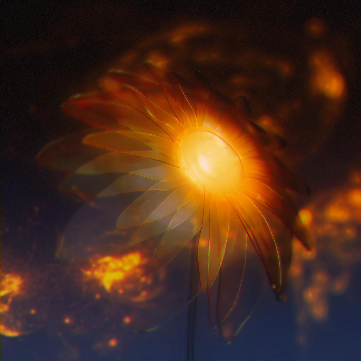 向日葵花火