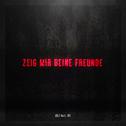 Zeig mir deine Freunde专辑